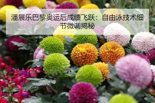 潘展乐巴黎奥运后成绩飞跃：自由泳技术细节微调揭秘
